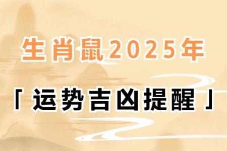 2023年鼠年：探索属鼠人的命运与人生旅程