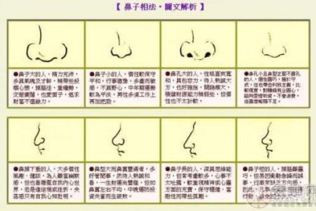 戌时出生的女孩：命理解析与人生运势的秘密