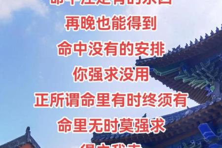 2023年45岁属虎人士的命运与人生启示