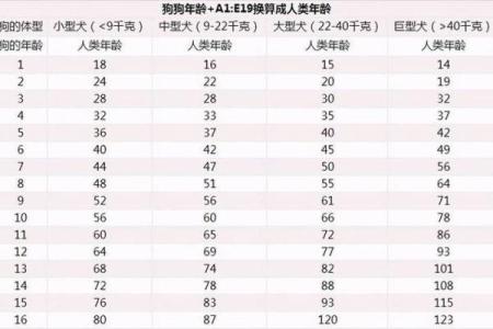 属狗人在狗年出生的命运与性格分析