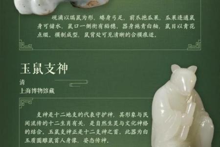八八年属于什么生肖与命运解析，揭秘你的天生特质