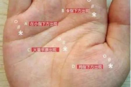 手掌横纹：揭示你命运的秘密！