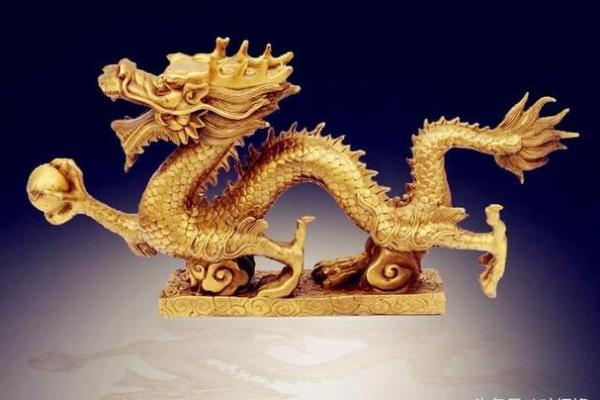 金龙命人如何选择适合自己的旺财养生法宝