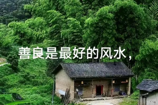 命理缺水的人,适合什么样的壁纸来提升风水? 命理缺水的人,适合什么样的壁纸来提升风水?