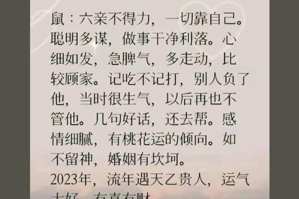 2023年14岁鼠命人的运势与生活智慧探讨