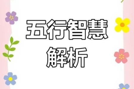 86年出生的人命运解析：五行属性与性格特点探秘