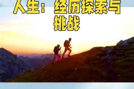 一九七九年出生的人命运与性格解析：探索人生中的机遇与挑战