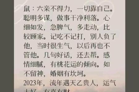 2023年14岁鼠命人的运势与生活智慧探讨