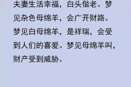 属羊的人性格剖析：温柔善良与独立坚韧的完美结合