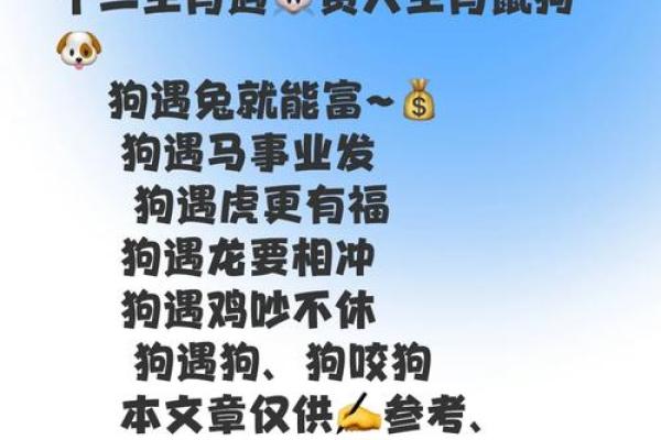 1982年属狗人的命运与财富：揭示秘密与成功之道