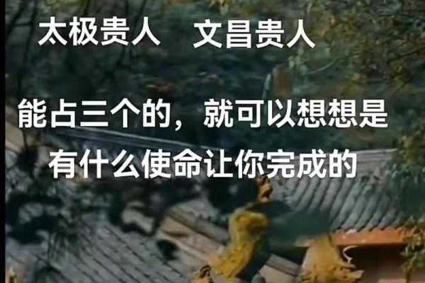 命理中双文昌的意义与影响,探索你的潜能与未来 命理中双文昌的意义与影响,探索你的潜能与未来