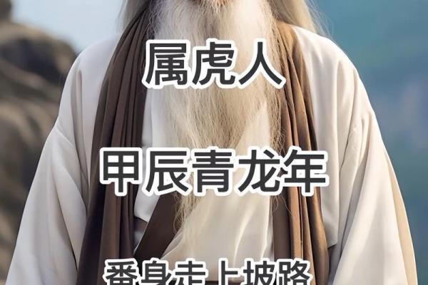 探秘2046年虎年，属于你的命运解析与生活智慧