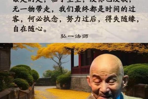 81岁的人是什么命：一生的智慧与洞察之旅