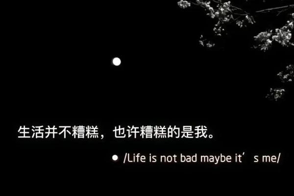 命里没有孩子的寓意与应对之策：寻找人生的其他意义