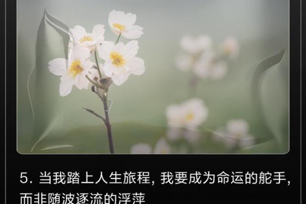 46岁去世的命运:生命的短暂与真谛探寻 46岁去世的命运:生命的短暂与真谛探寻