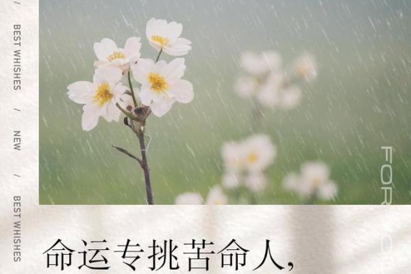 命运如丝,人生百态:探寻命与丝的深刻关联 命运如丝,人生百态:探寻命与丝的深刻关联