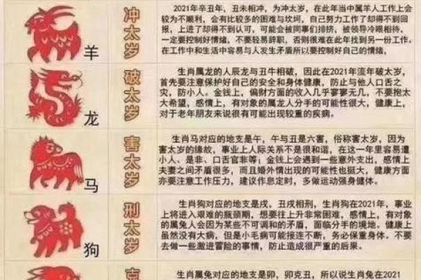 解析60后出生在虎年的人生运势与命理特点