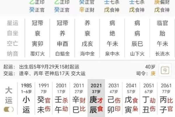 属相金命最佳年份揭秘：寻求命运的光辉之路