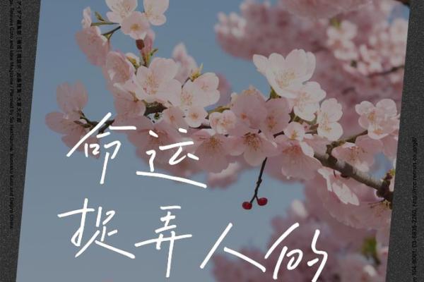 一九九六年出生的人的命运与人生轨迹探秘 一九九六年出生的人的命运与人生轨迹探秘