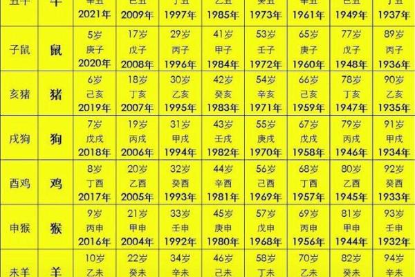 1998年虎年出生的朋友：你属于什么命？解析生肖与命理的奥秘