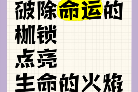 命运的枷锁:寻找我内心的自由与解脱