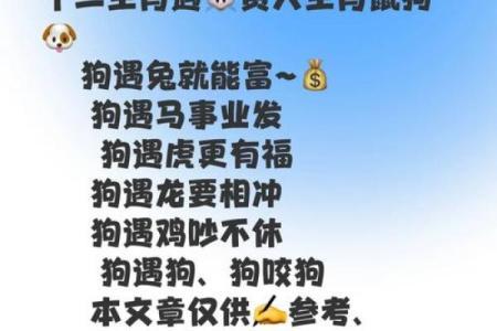 1982年属狗人的命运与财富：揭示秘密与成功之道
