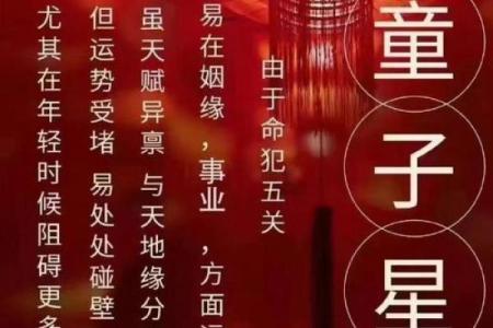 了解童子会：你不可不知的命理转变与人生选择