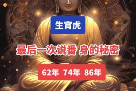 探秘2046年虎年，属于你的命运解析与生活智慧