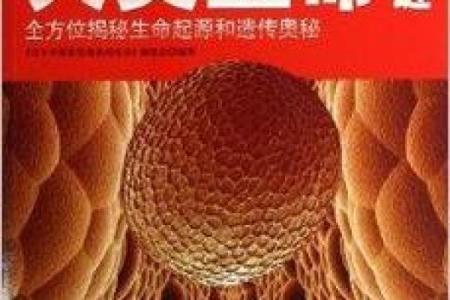 命理学的初心:探索生命奥秘与自我成长之道
