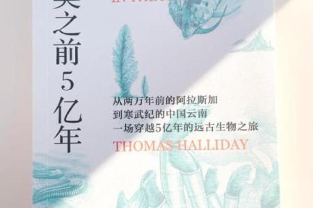 55年：探索命理背后的深奥与智慧