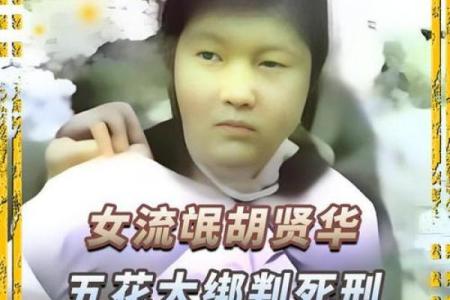 流浪者一命与二命：你不知道的秘密与魅力