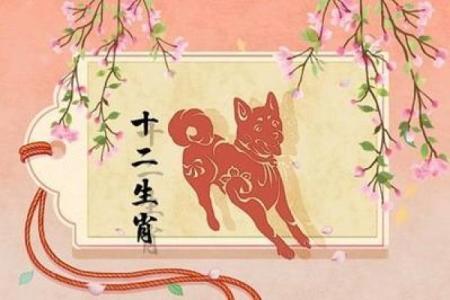 解读2018年属狗12月的命运与人生轨迹