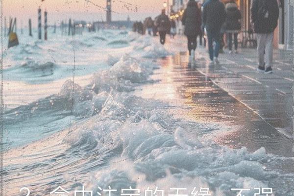 命何足惜，人生的精彩与必然选择