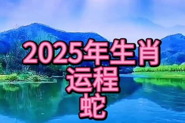 2001年属蛇：命运揭秘与人生智慧的探索