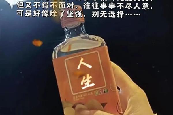 丢了半条命，剩下半条命：人生中的残酷与重生