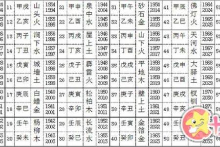 探寻五行命理：辛酉辛卯癸巳己未命的奇妙人生轨迹