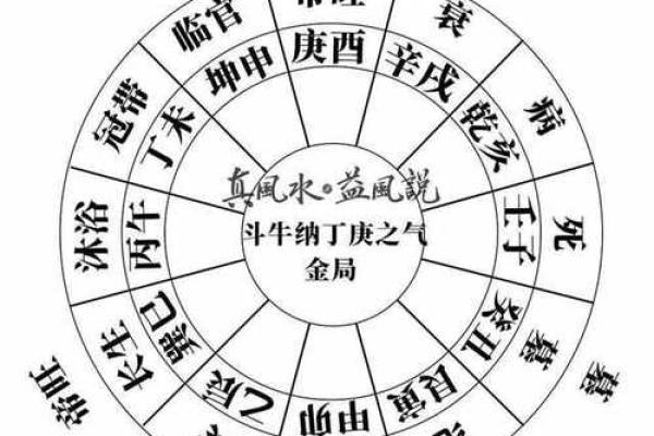 家居风水：石头的神秘力量与合理摆放技巧