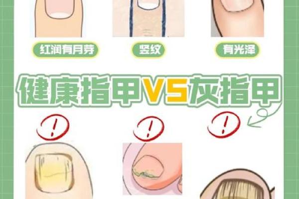 探秘女性指甲硬度与命运的千丝万缕关系