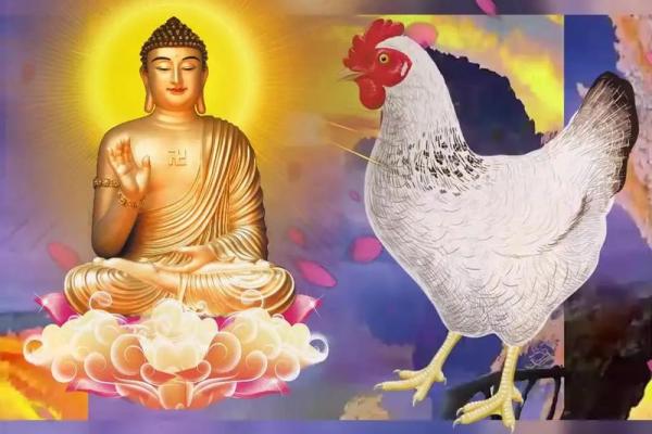 57属鸡人命运解析:勇敢追梦, 茁壮成长的秘诀 57属鸡人命运解析:勇敢追梦, 茁壮成长的秘诀