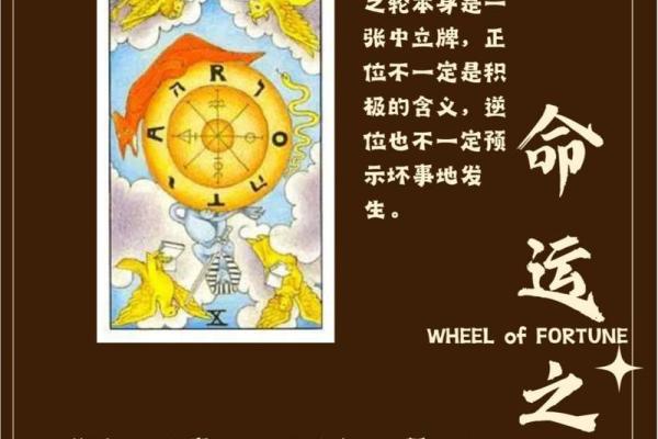 安乐之命：解读命运中的幸福与平静之道