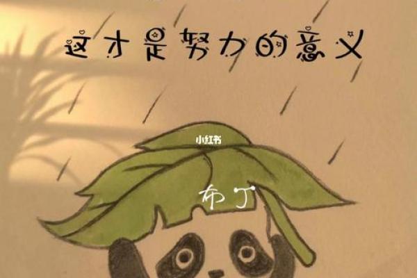 寻找生活的意义：我们拼命努力的背后故事
