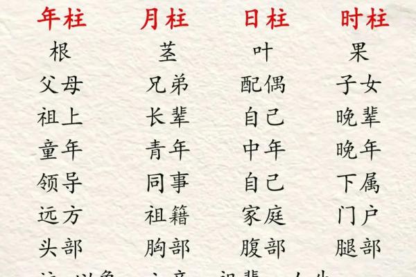 什么命格适合学习中医？探秘传统医学背后的命理智慧
