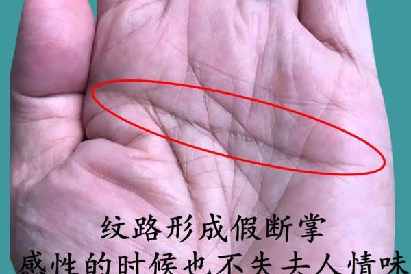 女性双手断掌命运解析：揭示隐藏在掌纹背后的秘密