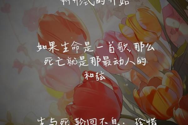 一命换一命：生命的价值与牺牲的深思