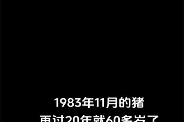 1983年出生的人：猪年命运与性格探秘