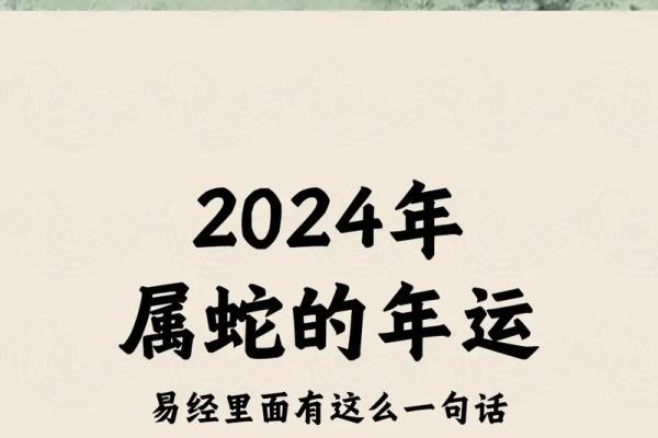 2023年属蛇人的运势解析与命理建议