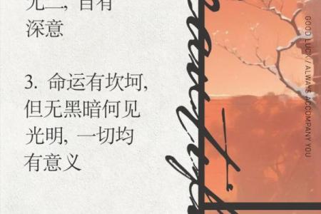 命运的指引:探索“命什么该什么”的人生哲学