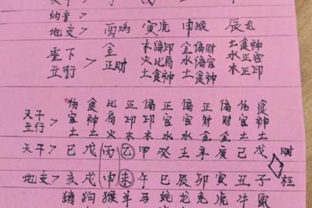 什么命格适合学习中医？探秘传统医学背后的命理智慧