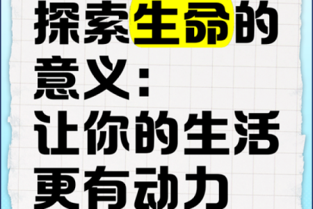 探索“讲究命”的深刻意义与生活智慧