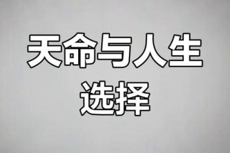 揭秘你的出生年：探讨什么年对应什么命运与性格！